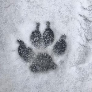 Meet your Posher, Kendra